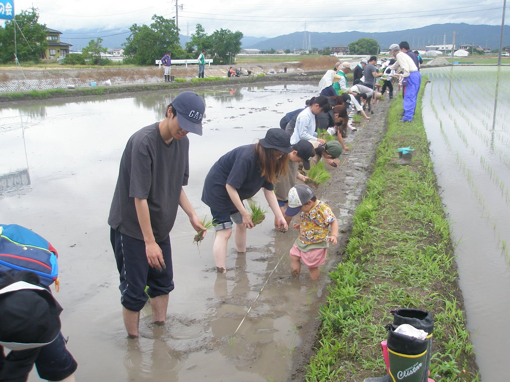みんなで田植え